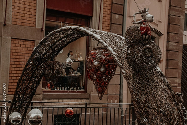 Obraz rooster on the fence