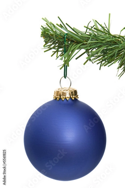 Fototapeta blue ornament hanging on a pine tree branch
