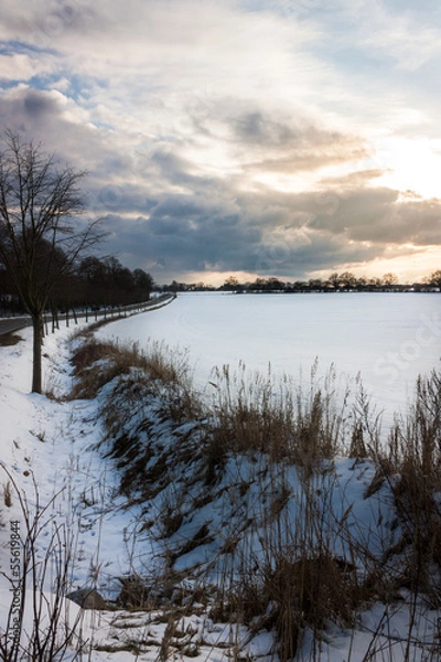 Obraz Feld im Winter