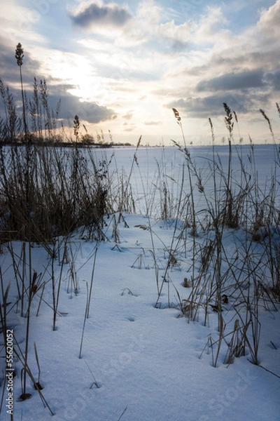 Obraz Feld im Winter