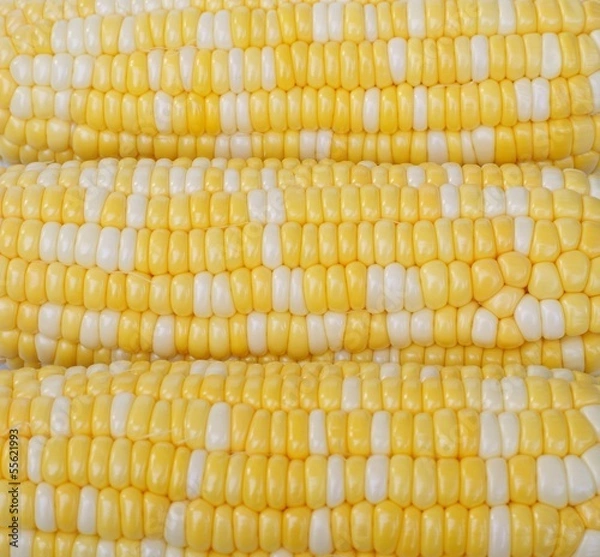 Obraz kukurydza, dwukolorowa