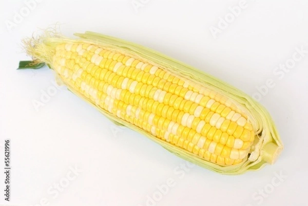 Obraz kukurydza, dwukolorowa