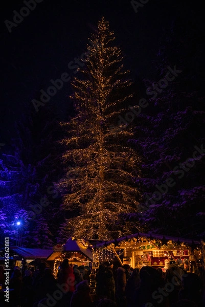 Obraz Weihnachtsbaum