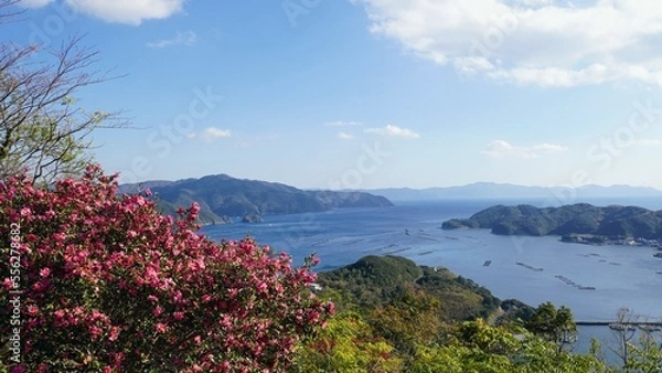 Fototapeta 宇和海とサザンカ・紫電改展示館【愛媛県宇和郡愛南町】