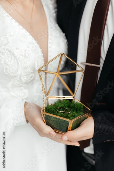 Fototapeta The concept of love and relationships. The groom in a suit and the bride in a snow-white elegant dress hold a gold transparent casket with wedding rings.