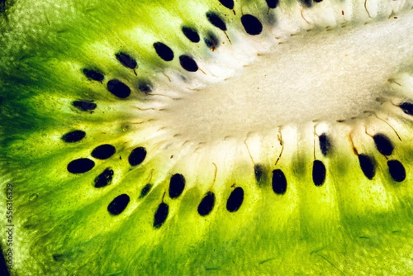 Obraz Slice cut kiwi close up