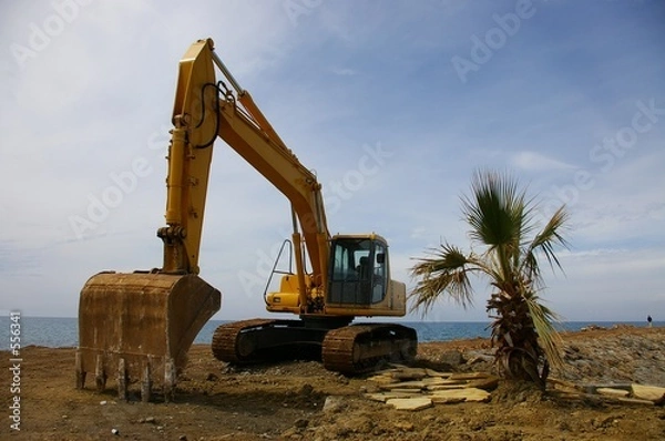 Obraz bagger und palme