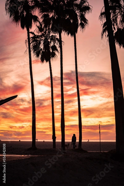 Obraz sunset at the beach