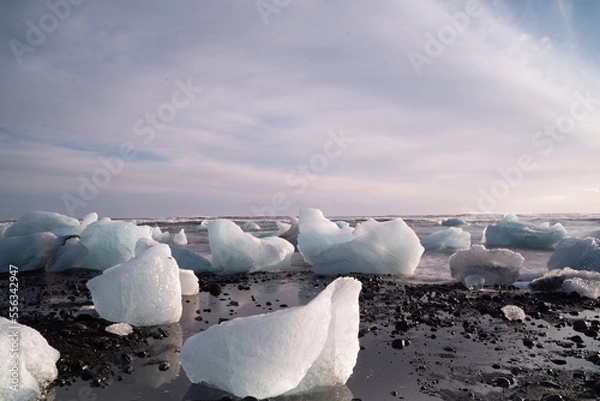 Fototapeta iceberg in polar regions