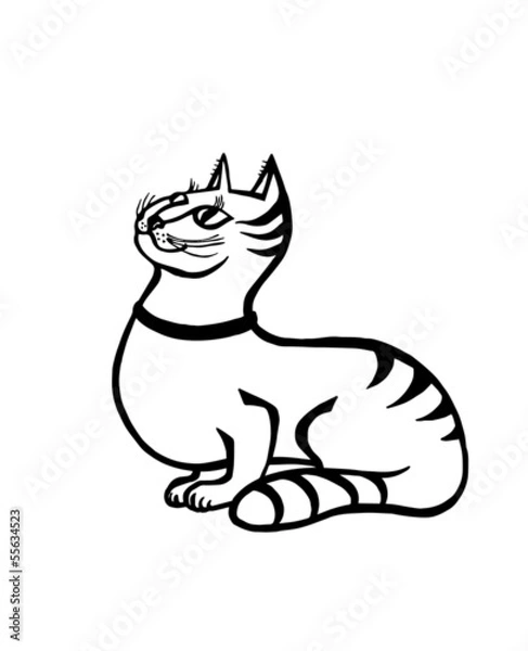 Fototapeta silly cat