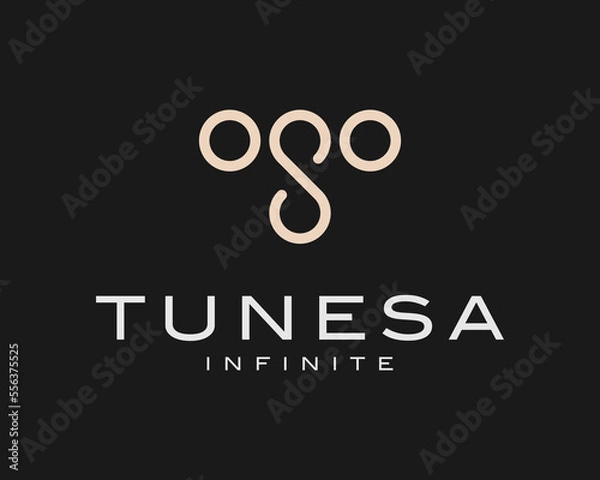 Fototapeta Letter T Infinity Infinite Loop Boundless Circle Line Abstract Elegant Simple Vector Logo Design