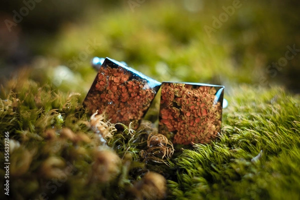 Obraz Close up handmade cufflinks with lichen and epoxide resin concept photo. Front view photography with moss on background. High quality picture for wallpaper, travel blog, magazine, article