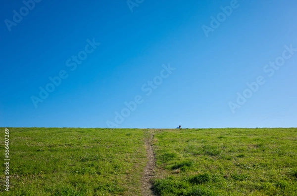Fototapeta 東京江戸川の土手・河川敷
