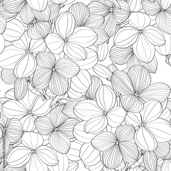 Obraz Seamless pattern of black line hydrangea flowers for fabric design. Luxurious line art of spring flowers. 