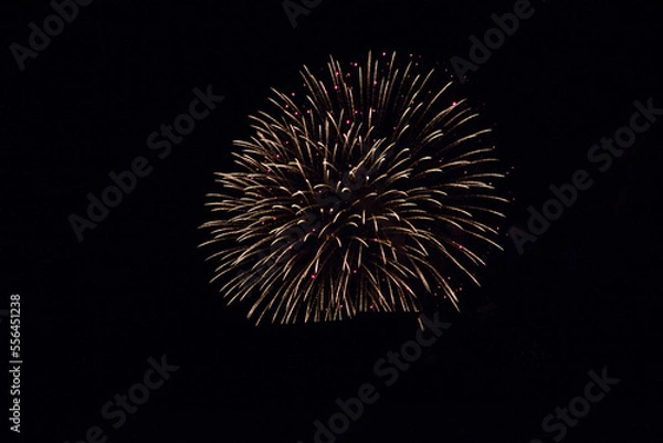 Obraz Festive fireworks against the black sky