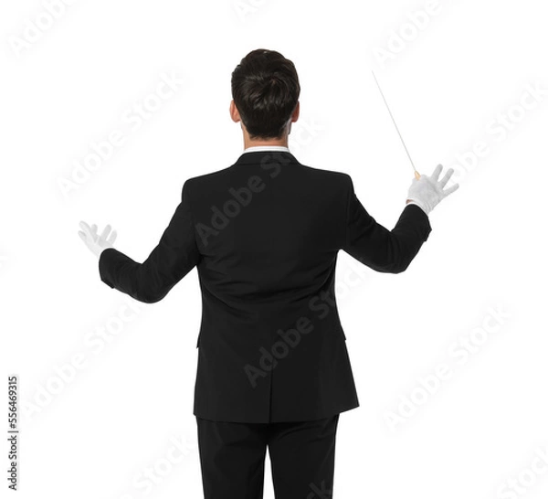 Fototapeta Professional conductor with baton on white background, back view