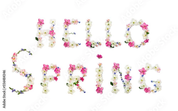 Fototapeta Hello spring lettering text from of flowers apple tree and blue wildflowers forget-me-nots on white background. Top view, flat lay