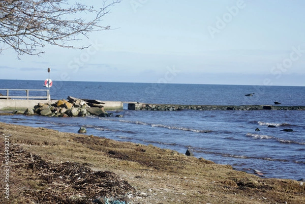Obraz on the beach
