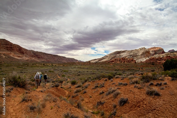 Fototapeta A group of hikers embarks on a trek through the Waterpocket Fold in Capitol Reef National Park, located in the desert region of southern Utah. The sky is full of clouds.