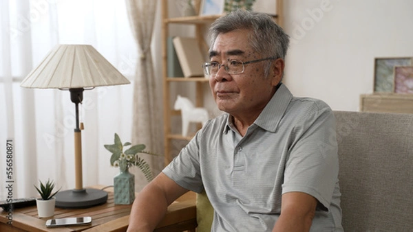 Obraz Dreamy inspired senior hoary asian man resting on comfortable sofa in morning. serious old male in eyeglasses look front while sitting on couch at home during quarantine.