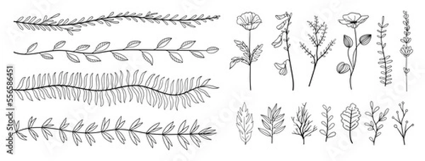 Obraz set collection plants leave hand drawn vector. Drawing beautiful creeper leaves, decorative set	