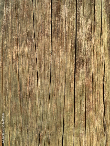 Fototapeta Old treated timber wood texture with cracks. interior and exterior tile floor/wall texture pattern background