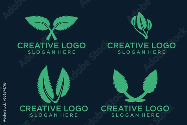 Fototapeta logo creative leaf