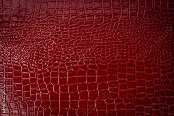 Fototapeta skin texture