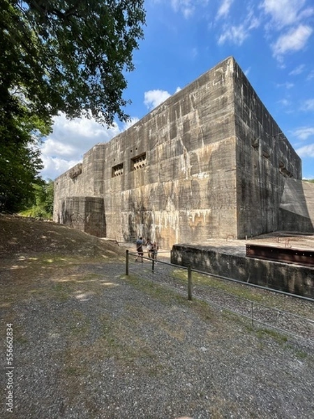 Fototapeta blockhaus d'éperlecques