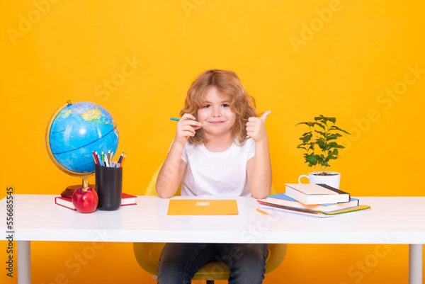 Fototapeta Child writing lesson. Little student school child isolated on studio background. Portrait of nerd student with school supplies.