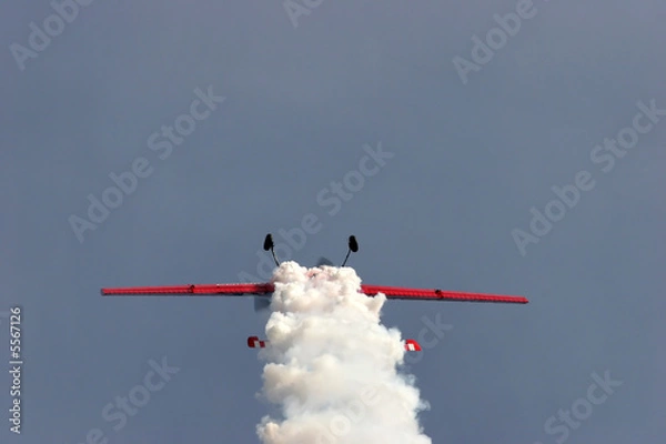 Obraz air show