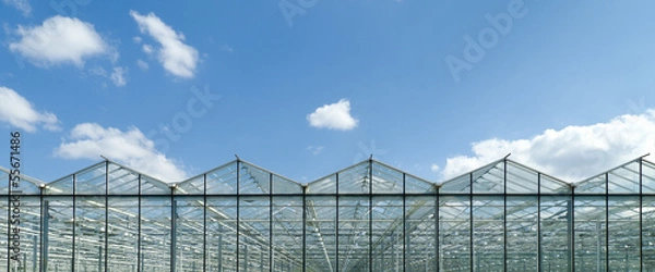 Obraz greenhouse exterior