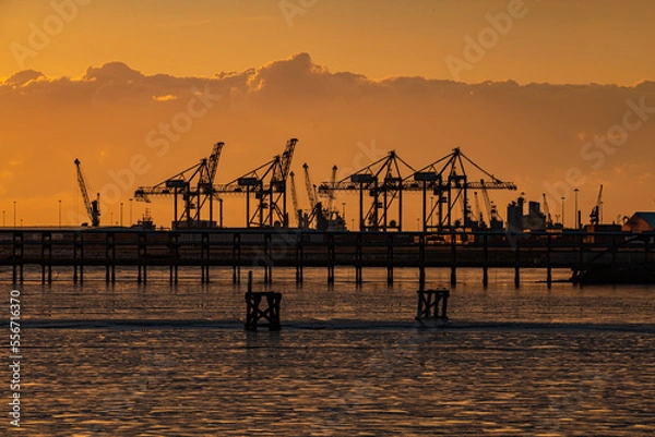 Fototapeta Dockside Cranes at Sunset
