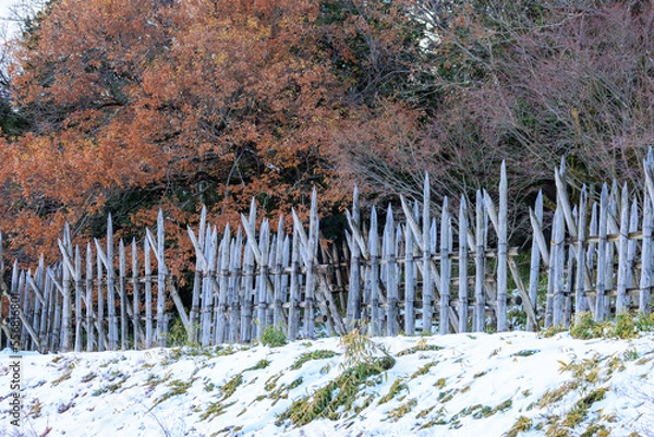 Fototapeta Sharpened wooden stakes at Sekigahara, site of Japan's biggest samurai battle