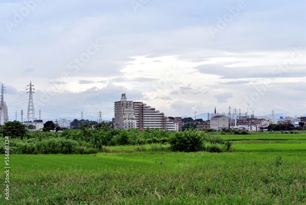 Obraz 【埼玉県富士見市】田園
