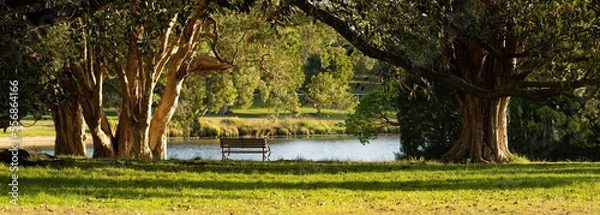 Fototapeta Empty park bench on the edge of a calm blue lake surrounded by trees in evening light
