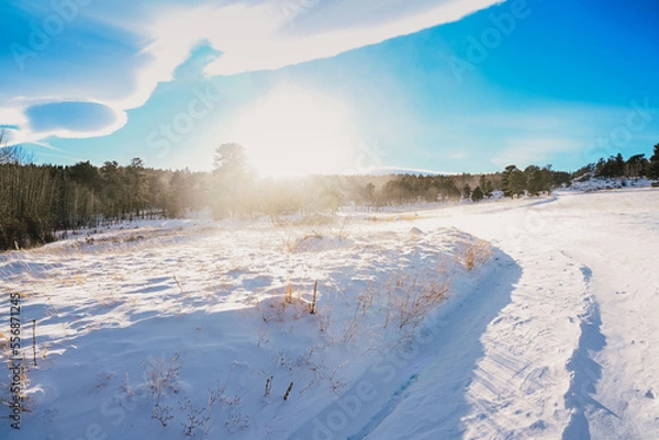 Obraz Tire tracks on a winter road in Boulder County, Colorado - snowy bright winter aesthetic