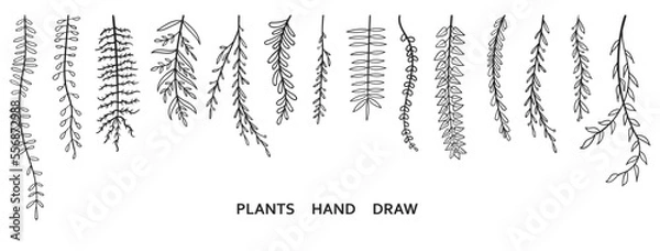 Obraz Set collection plants flowers and leaves hand draw vector. Drawing beautiful creeper leaves, decorative set with flowers and leafs