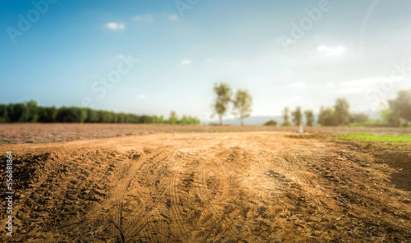 Fototapeta Empty dry cracked swamp reclamation soil, land plot for housing construction project with car tire print in rural area and beautiful blue sky with fresh air Land for sales landscape concept.