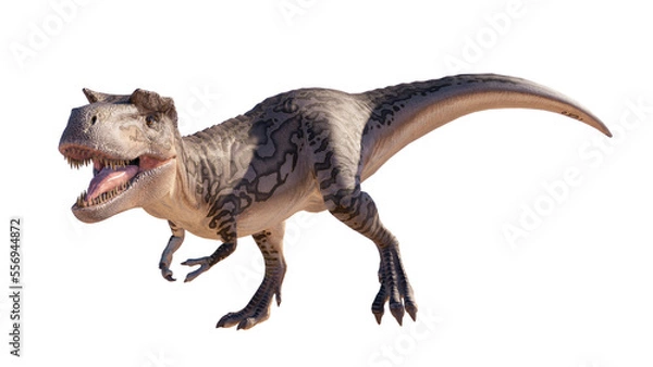 Fototapeta Albertosaurus PNG. Dinosaur Albertosaurus on a blank PNG high resolution background.