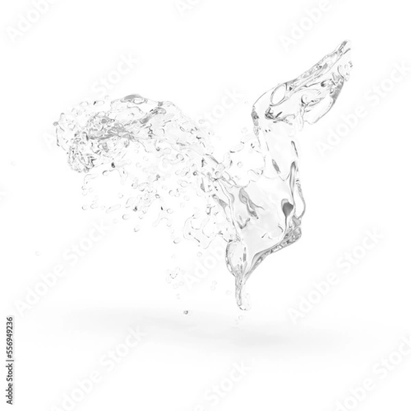 Obraz water splash isolated on white