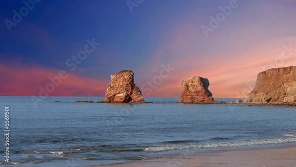 Fototapeta les jumeaux