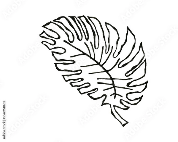 Fototapeta Tropical line clipart on isolated white background. For stationery design, postcards, calendars, notebooks, booklet, clothing print, phone case design, posters, stickers, splash screen
