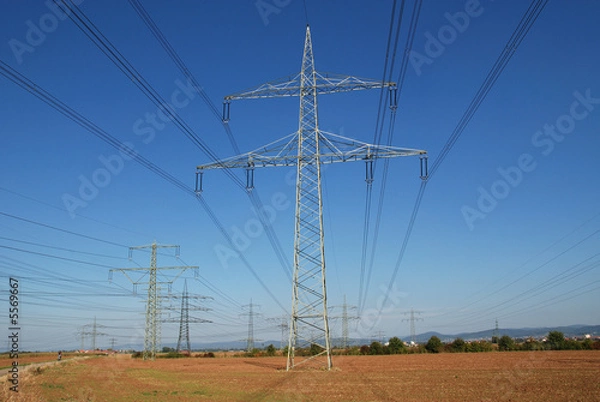Obraz Power line 