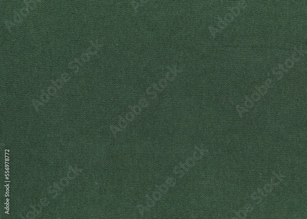 Obraz Green fabric texture background, textile clothing
