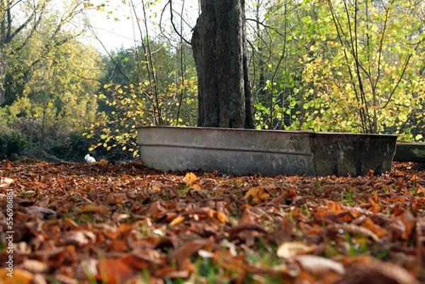 Obraz Altes Boot am Seeufer