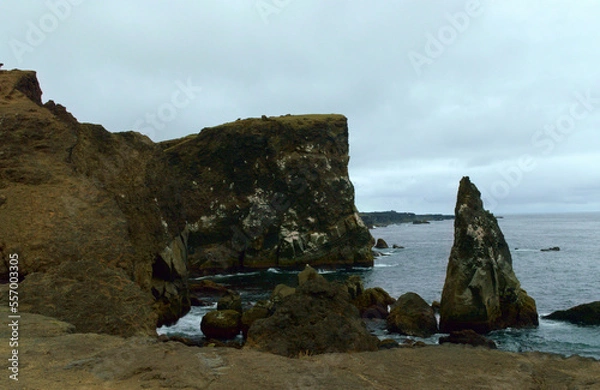 Fototapeta Icelandic cliffs