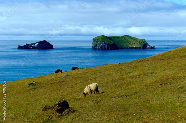 Fototapeta view of the coast of the ocean