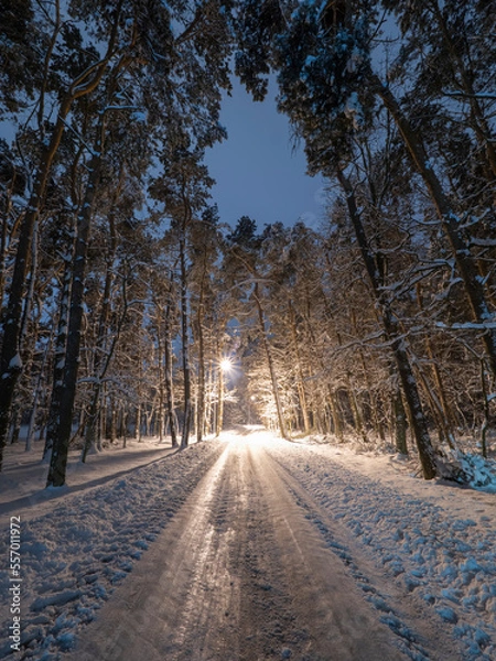 Obraz road in winter