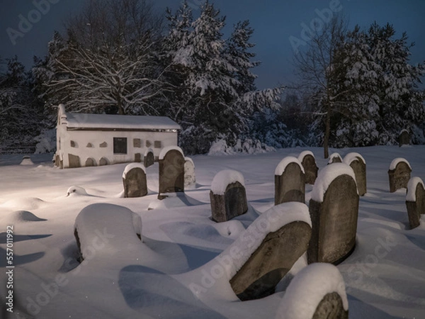 Obraz Jewish cemetery in winter